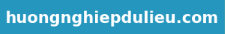 Hướng Nghiệp Lập Trình